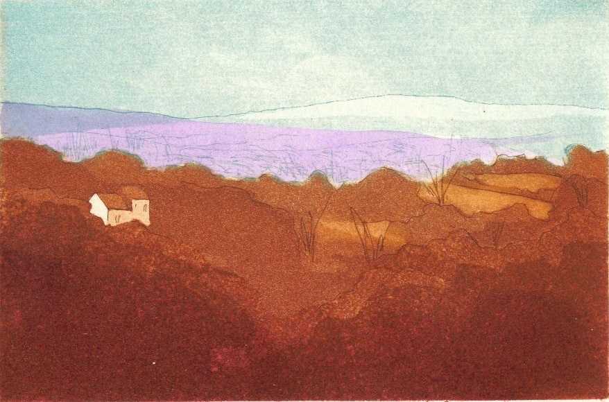 Distant Hills_copyright David T. Bowyer