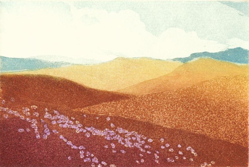 Distant Moorland_copyright David T. Bowyer