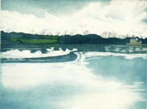 Mill Pond_copyright David T. Bowyer