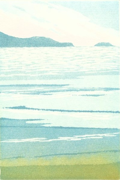 Off shore Island_copyright David T. Bowyer