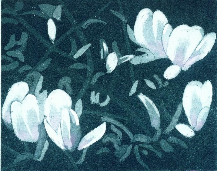 Tulip Tree_copyright David T. Bowyer