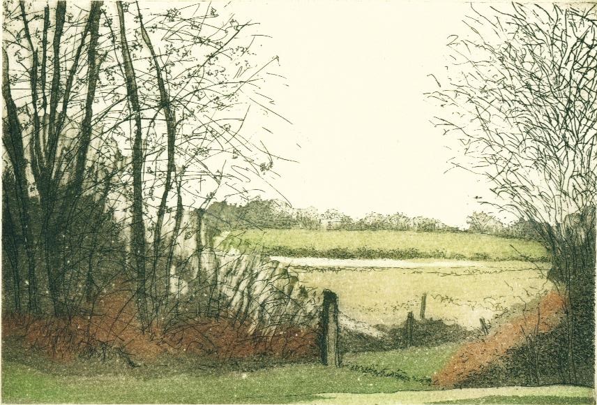 Winter Saltings_copyright David T. Bowyer