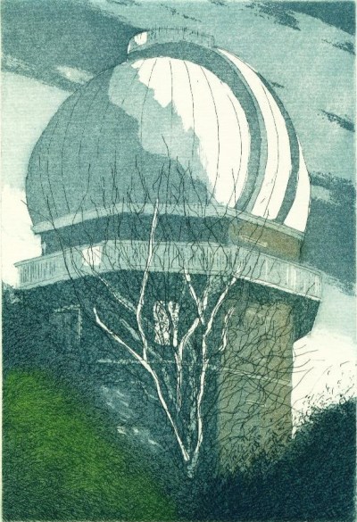 Winter Sun_copyright David T. Bowyer